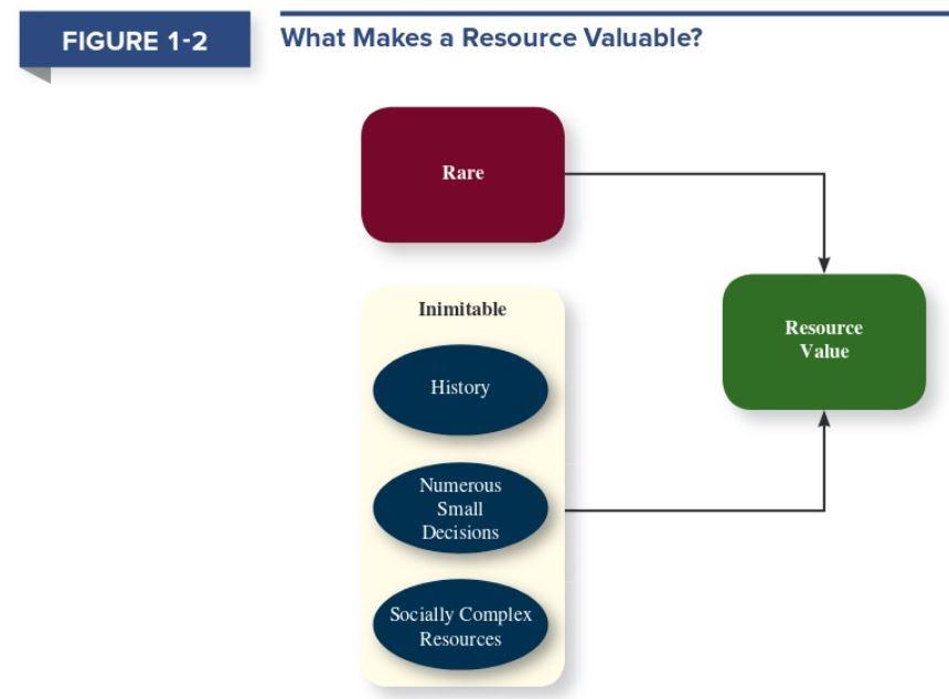 Using the resource-based view of the