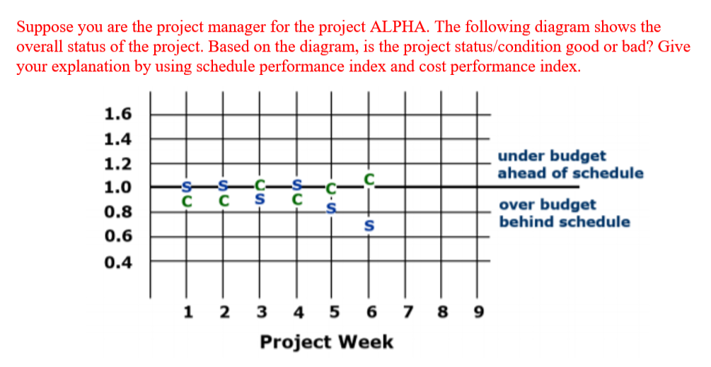 Suppose you are the project manager for the