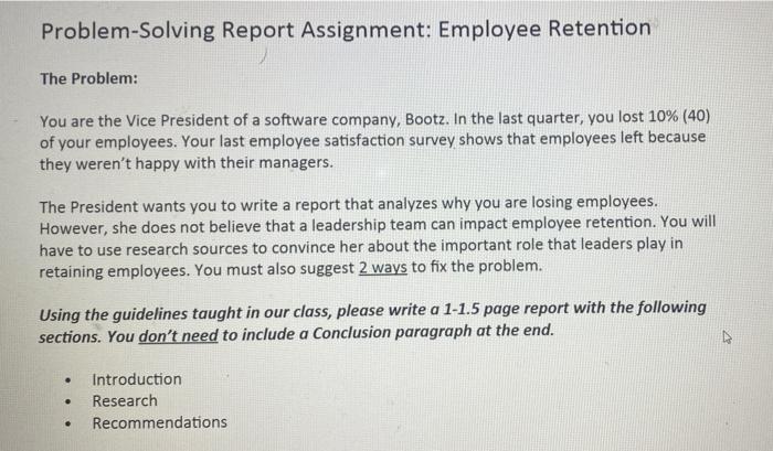 Problem-solving Report Assignment: Employee
