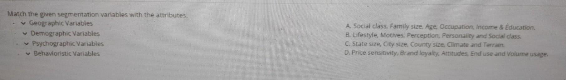 Match the given segmentation variables with the