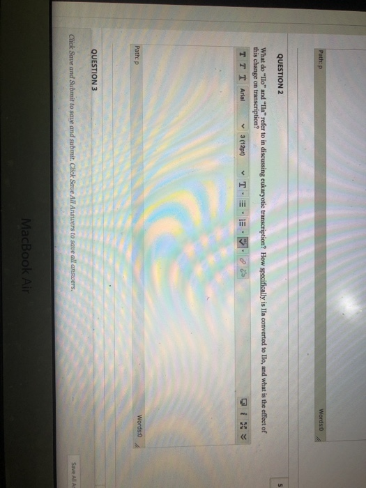 Path:p Words 5 QUESTION 2 What do "Ilo" and "IL"