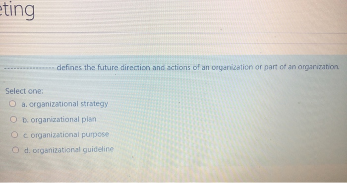 eting defines the future direction and actions of