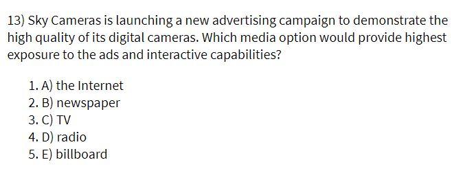 13) Sky Cameras is launching a new advertising