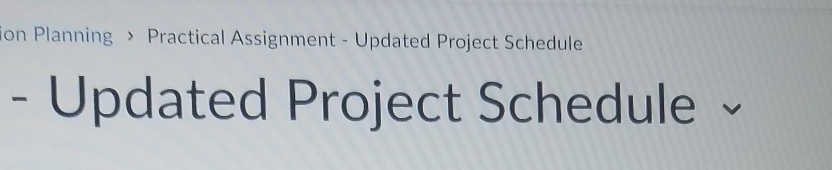 8300 - updated project schedule pracgical