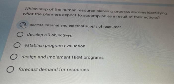 Which step of the human resource planning process