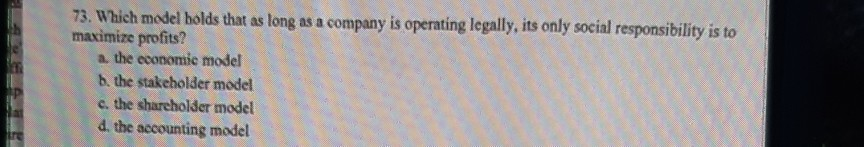 73. Which model holds that as long as a company