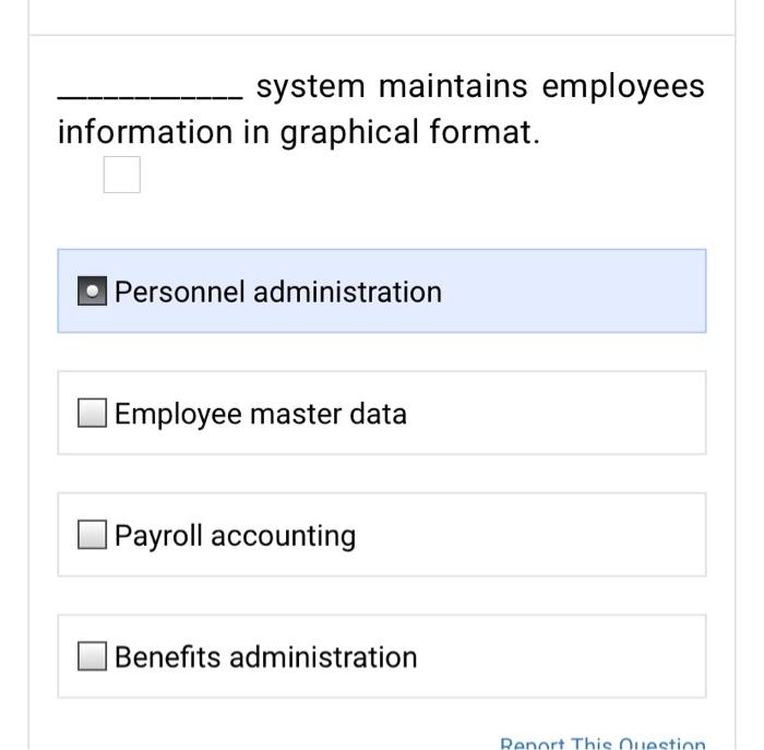 system maintains employees information in