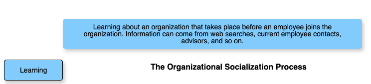 The Organizational Socialization Process This