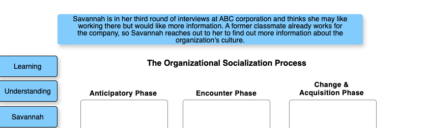 The Organizational Socialization Process This