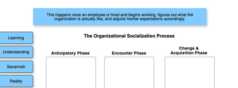 The Organizational Socialization Process This