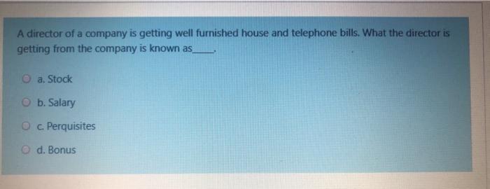 A director of a company is getting well furnished