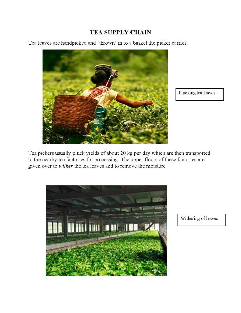 Answer the following questions according to the