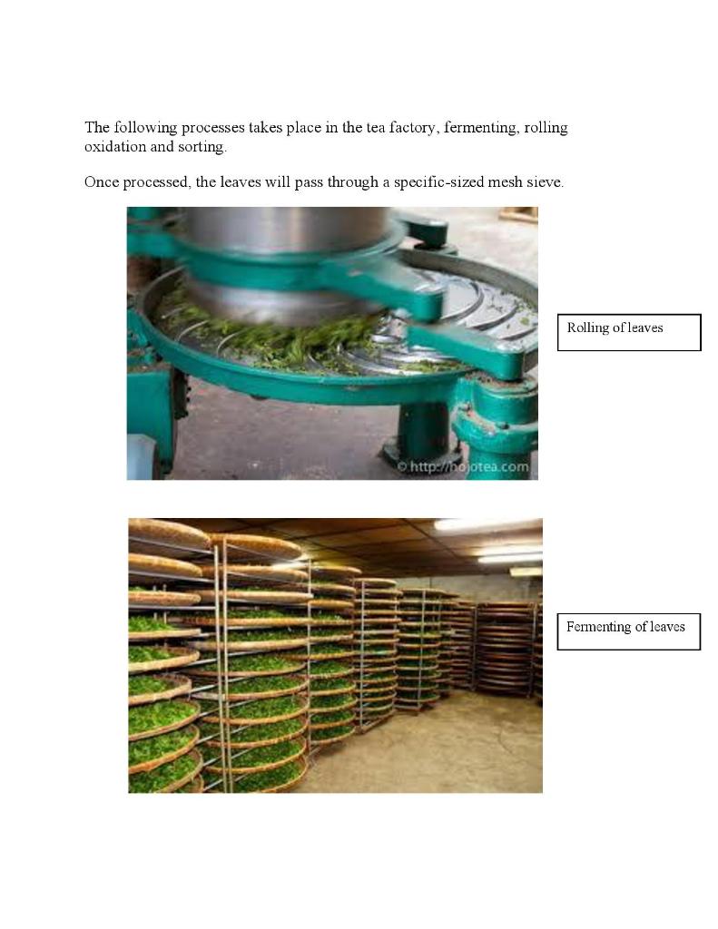 Answer the following questions according to the