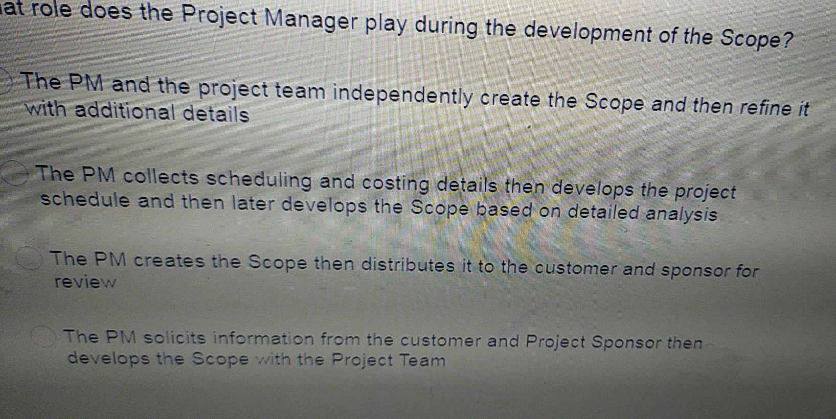 at role does the Project Manager play during the