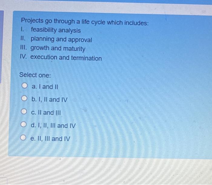 Projects go through a life cycle which includes: