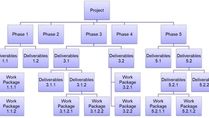 I Want Work Break Down Structure(wbs) For Sephora
