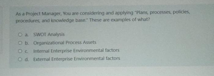 only ans the correct option As a Project Manager,