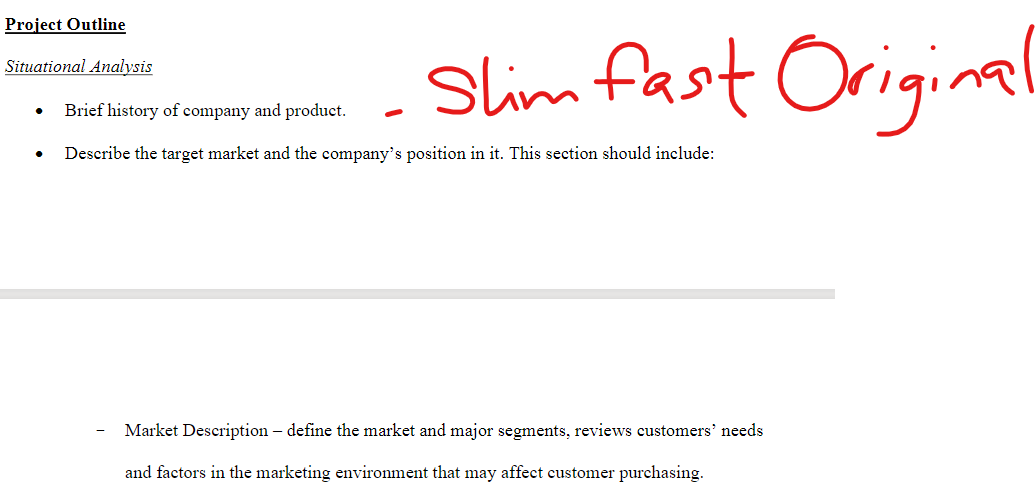 ProjectOutline SituationalAnalysis - Brief