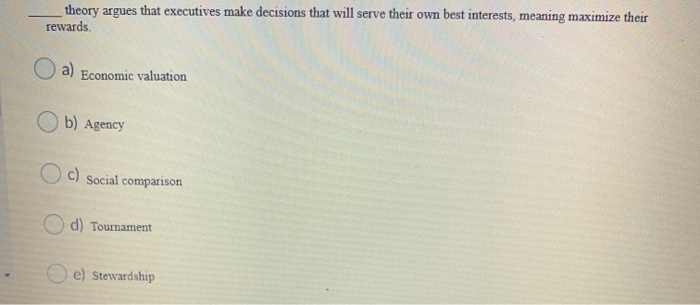 theory argues that executives make decisions that