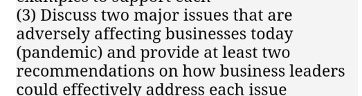 (3) Discuss two major issues that are adversely