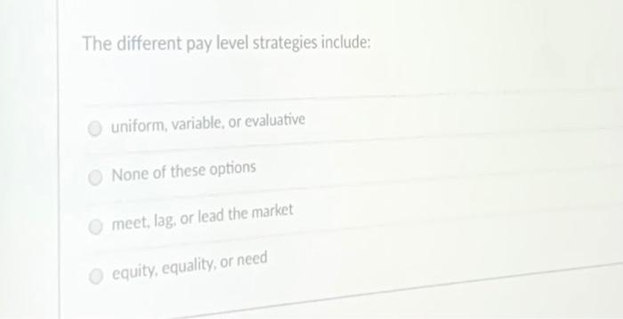 The different pay level strategies include: