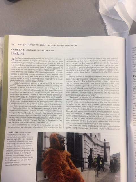 17-8. Do you think that a streamlined management