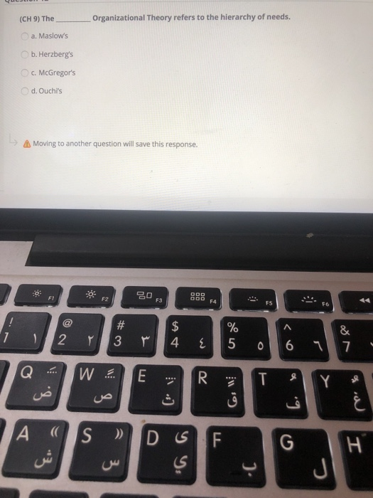 (CH 9) The Organizational Theory refers to the