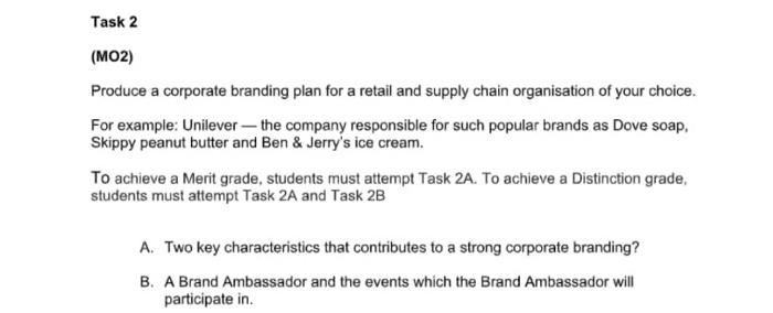 Task 2 (MO2) Produce a corporate branding plan