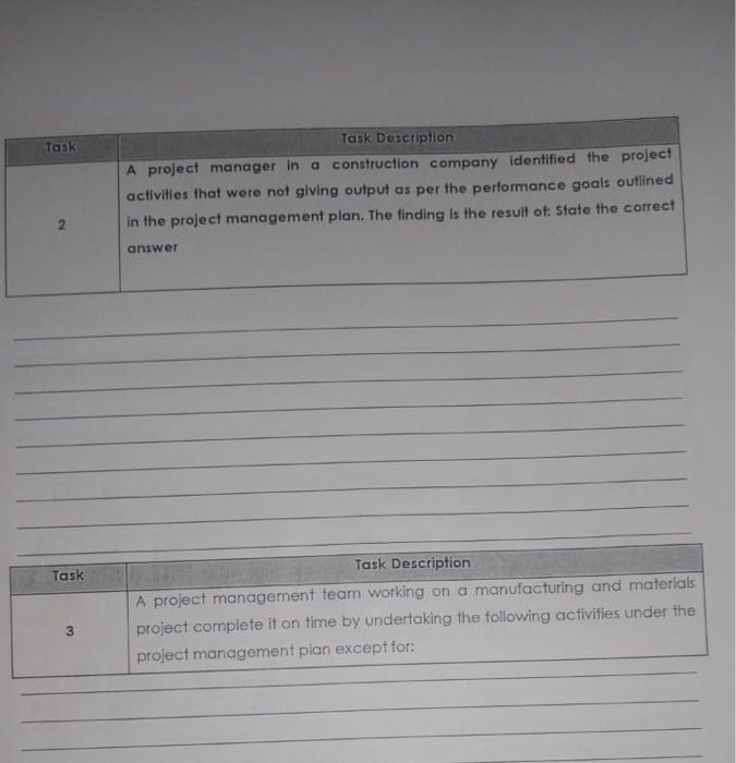 Task Task Description A project manager in a