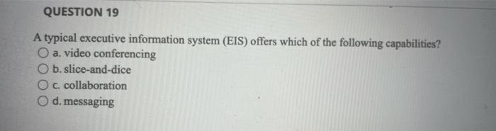 QUESTION 19 A typical executive information
