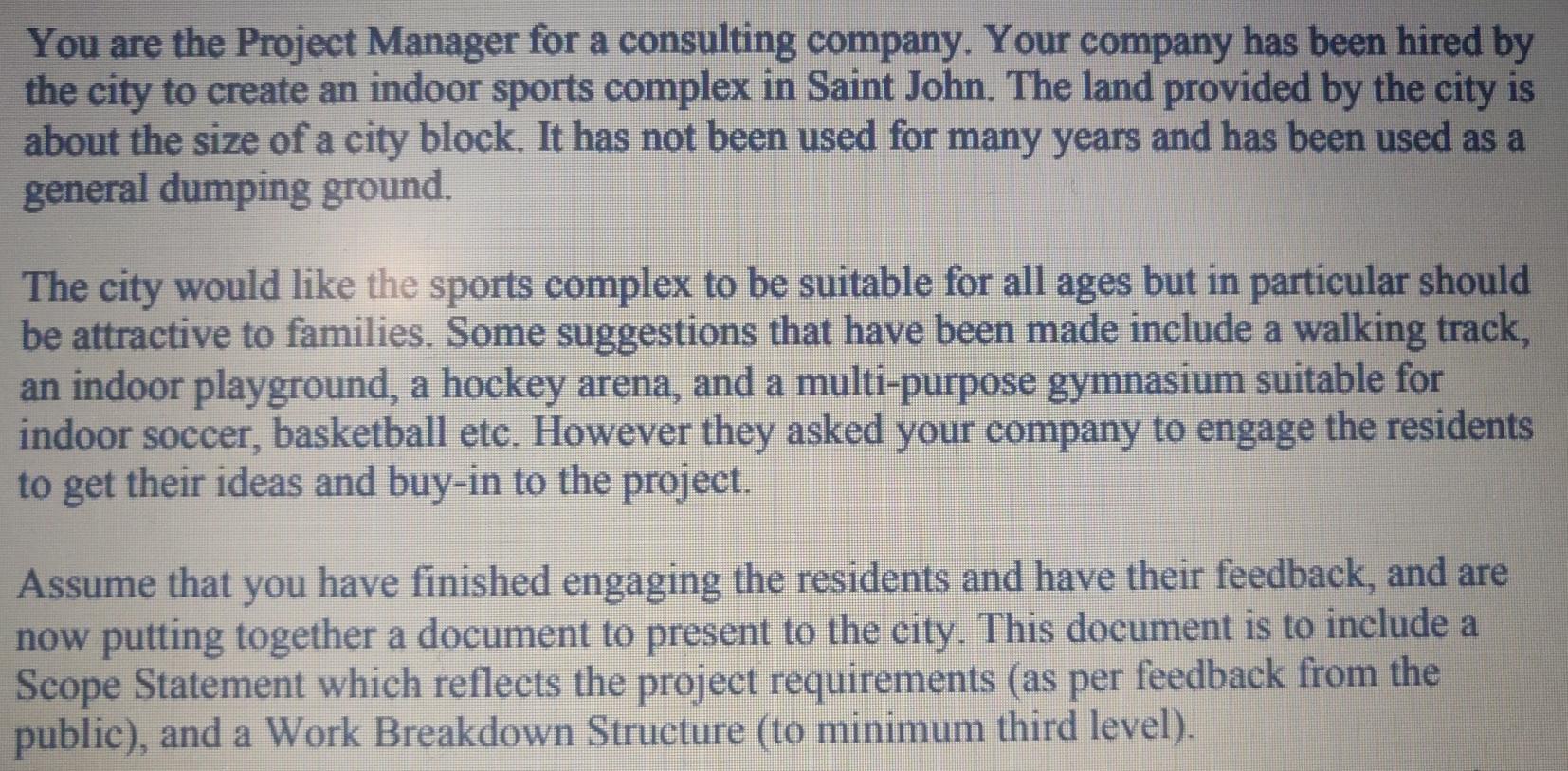 You are the Project Manager for a consulting