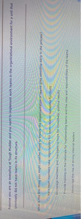 Assume you are an executive at Tough Mudder and