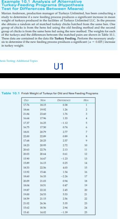 Example 10.1 Analysis of Alternative