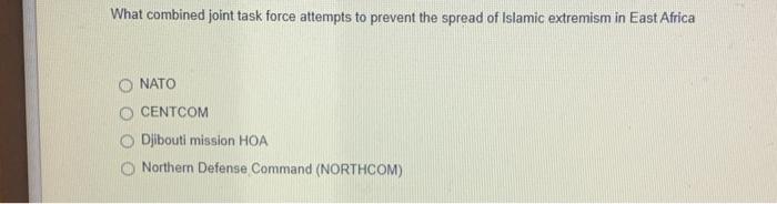 What combined joint task force attempts to