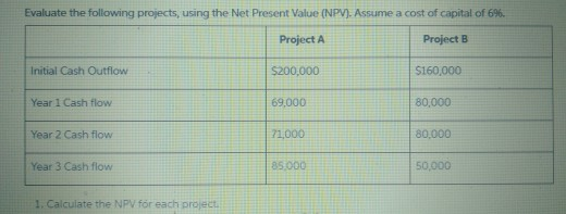 Evaluate the following projects, using the Net