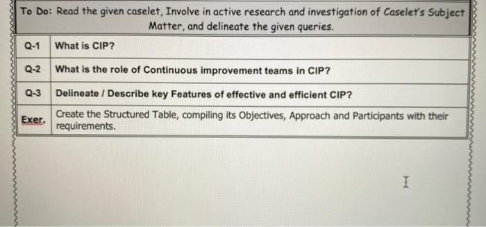 MIS 446 Continuous Improvement Program (CIP) The