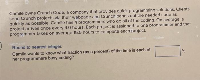 Camile owns Crunch Code, a company that provides