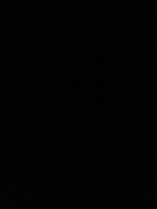 Explain why technology plays an important role in