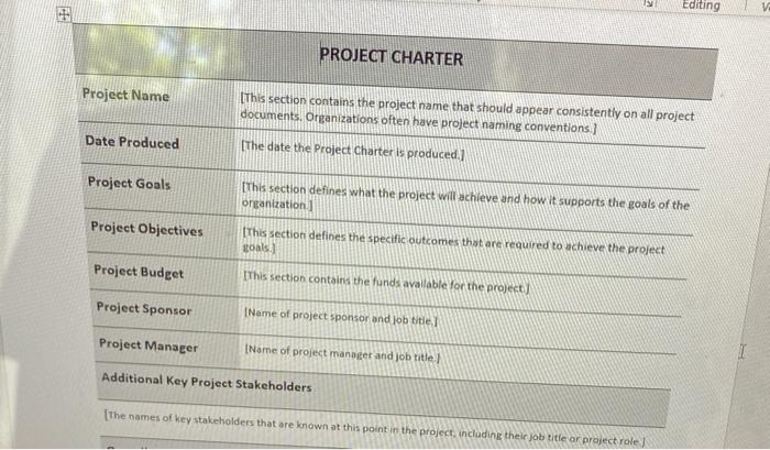Editing PROJECT CHARTER Project Name (This