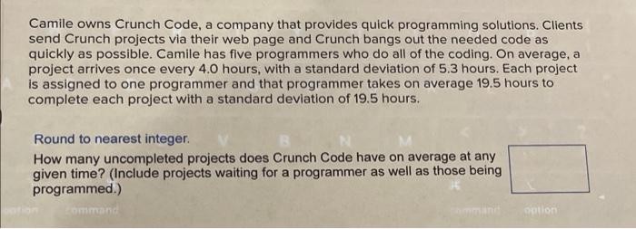 Camile owns Crunch Code, a company that provides