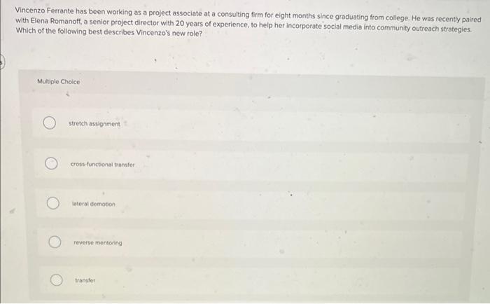 Vincenzo Ferrante has been working as a project