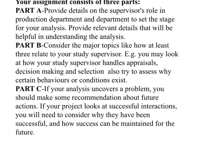 Assignment should be a Business-like format