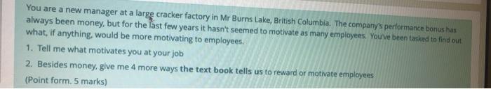 You are a new manager at a large cracker factory