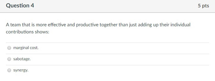 Question 4 5 pts A team that is more effective