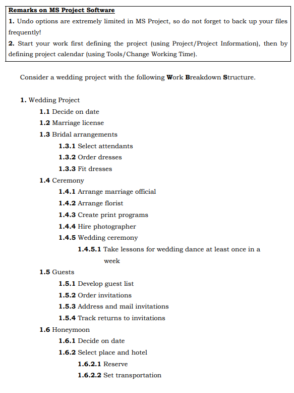 Remarks on MS Project Software 1. Undo options