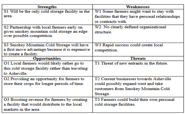 Conclusions about the SWOT Analysis. area.