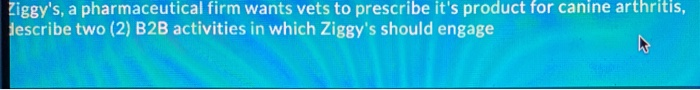 Ziggy's, a pharmaceutical firm wants vets to