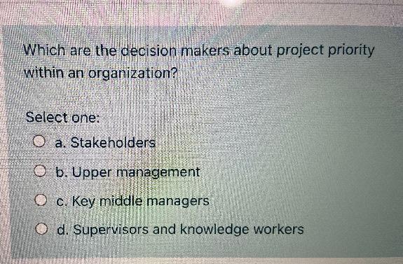 Which are the decision makers about project