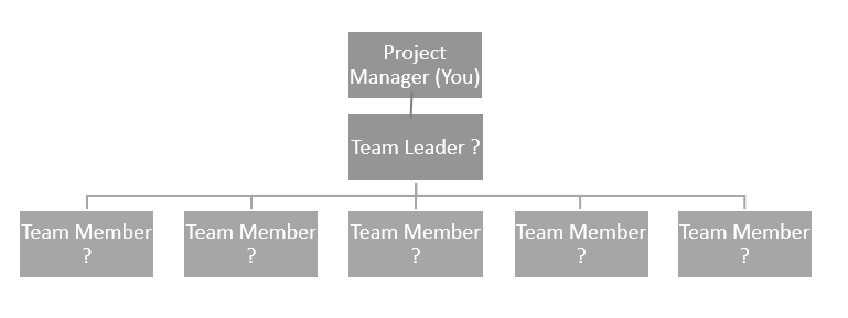 Problem: You are a project manager. a) If you are