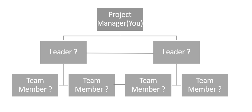 Problem: You are a project manager. a) If you are